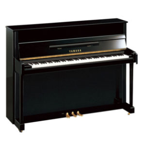 Image for Yamaha B2