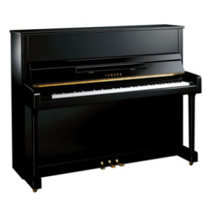 Image for Yamaha B3