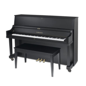 Image for Yamaha P22