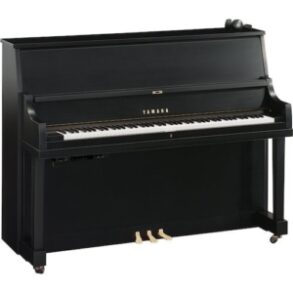 Image for Yamaha P22D SC3