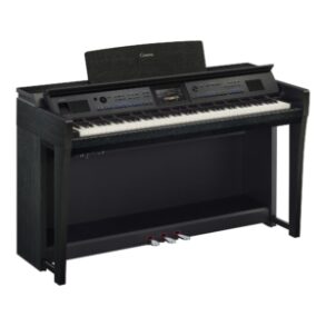 Image for Clavinova CVP-905